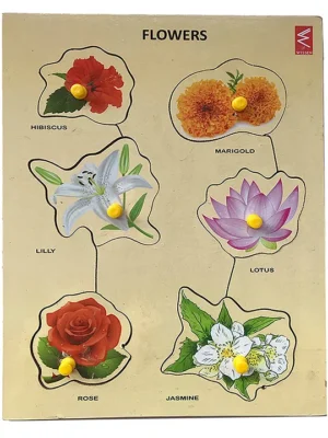 Wooden Flower learning Educational Knob Tray 6 Pieces