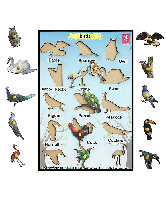 Wooden Birds Learning Educational Knob tray Multicolor 15 Pieces