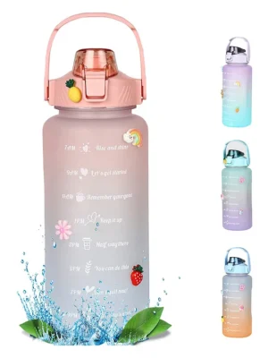 House of Quirk 2 liter 3D Sticker BPA Free Unbreakable Sports Water Bottles Pink Blue