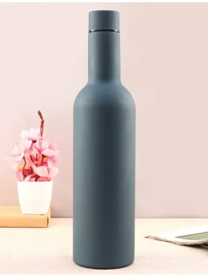 Double Wall Insulated Water Bottle Blue 750 ml