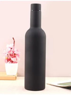 Double Wall Insulated Water Bottle Black 750 ml