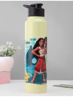 Stainless Steel Bottle With Iron Moana Print Light Green 1000 mlPlastic Water Bottle